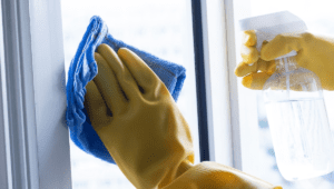 Best Cloth for Cleaning Windows